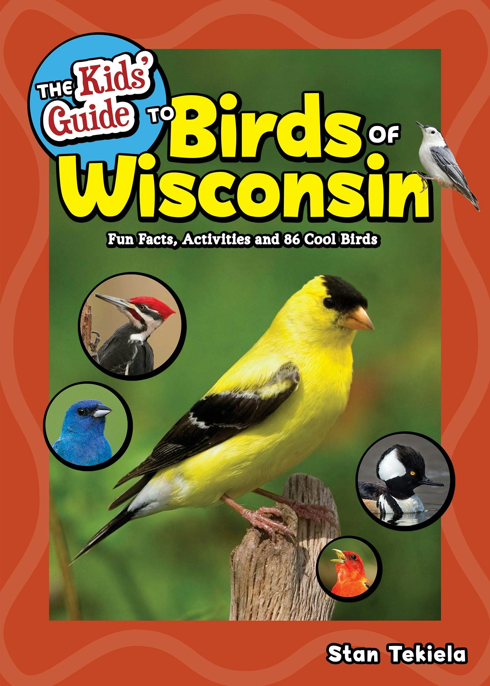 Book cover image for The Kids' Guide to Birds of Wisconsin ISBN: 9781591938408